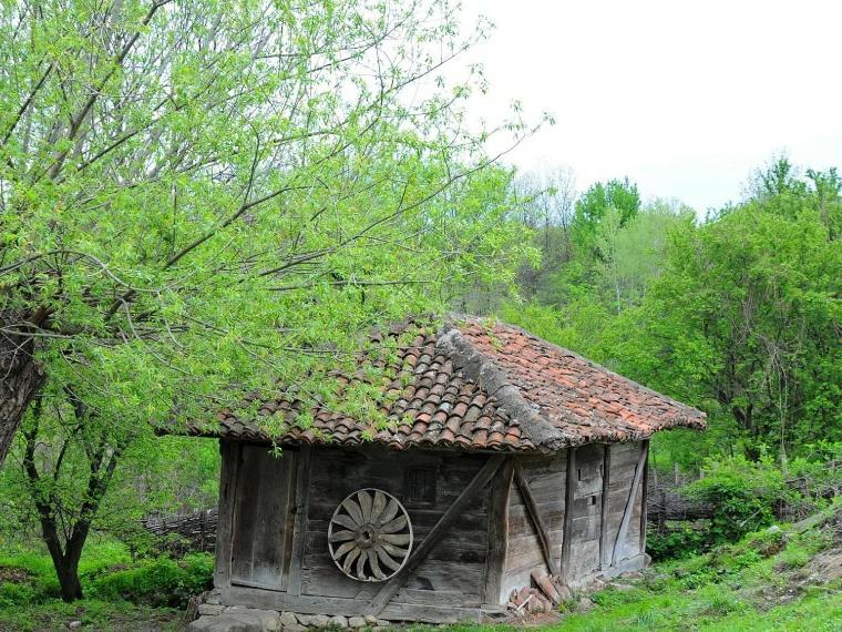 Appartamento Bistricki Mir 1 Petrovac na Mlavi Esterno foto