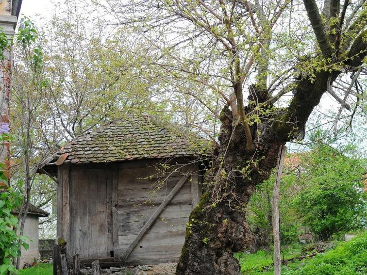 Appartamento Bistricki Mir 1 Petrovac na Mlavi Esterno foto