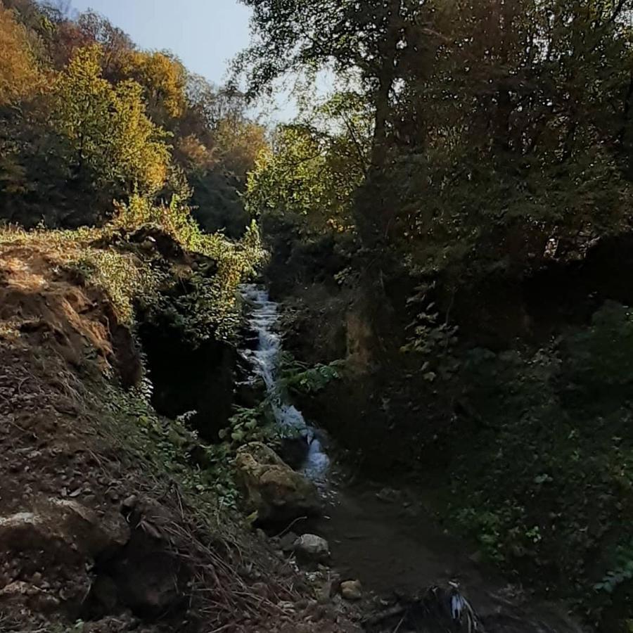 Appartamento Bistricki Mir 1 Petrovac na Mlavi Esterno foto