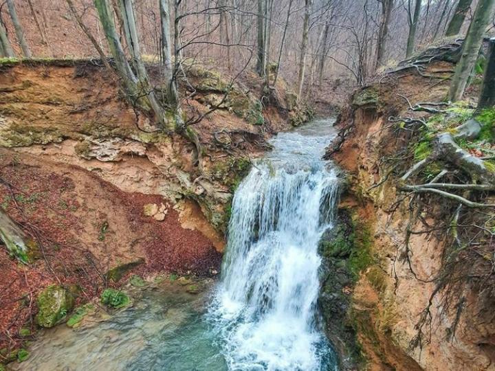 Appartamento Bistricki Mir 1 Petrovac na Mlavi Esterno foto