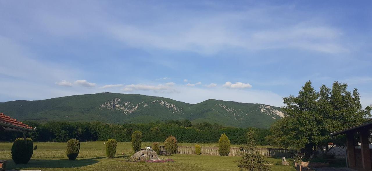 Appartamento Bistricki Mir 1 Petrovac na Mlavi Esterno foto